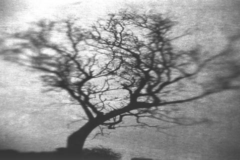 Setúbal