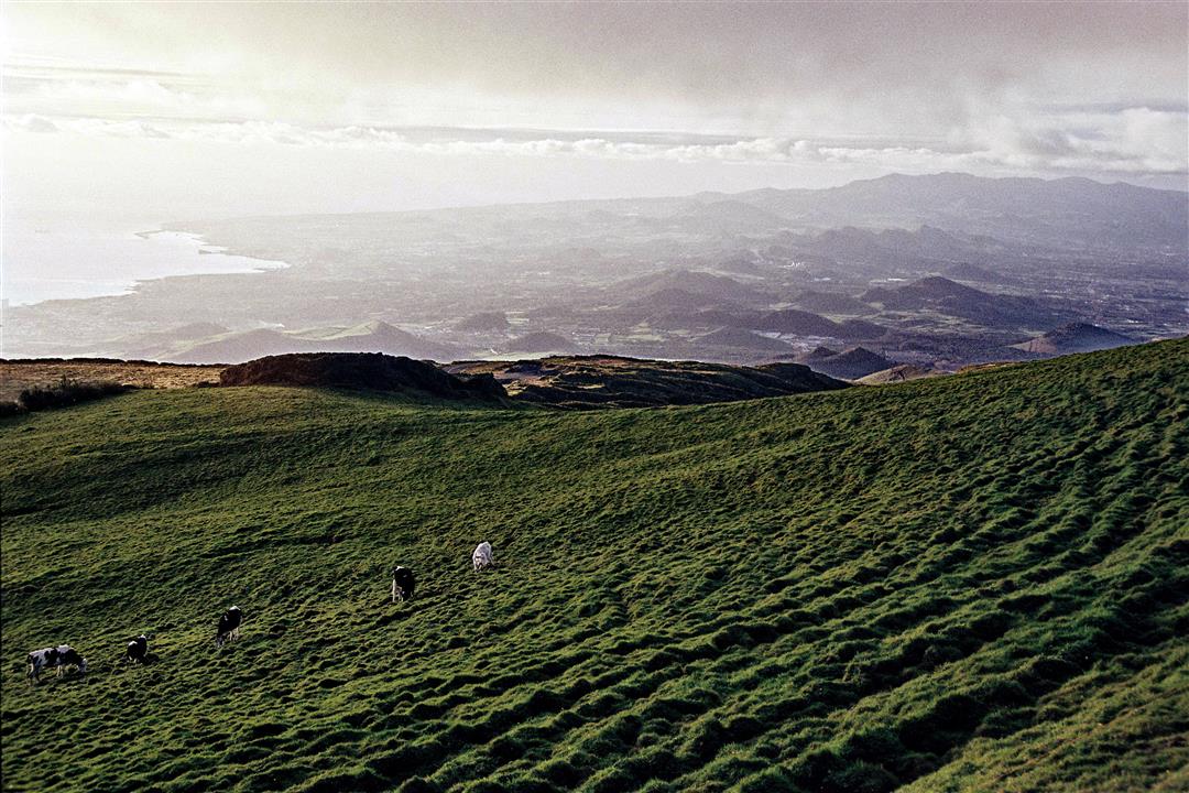 São Miguel