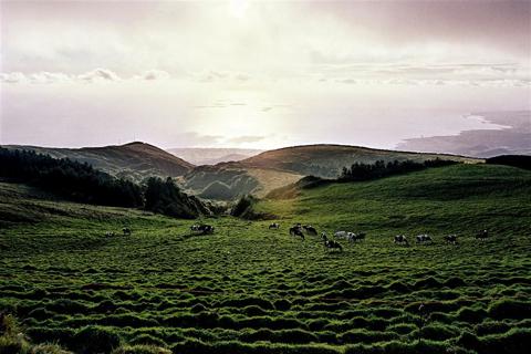 São Miguel