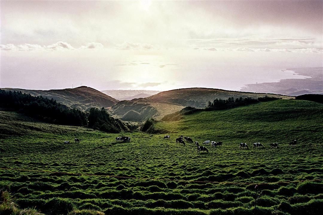 São Miguel