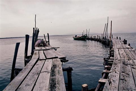Carrasqueira