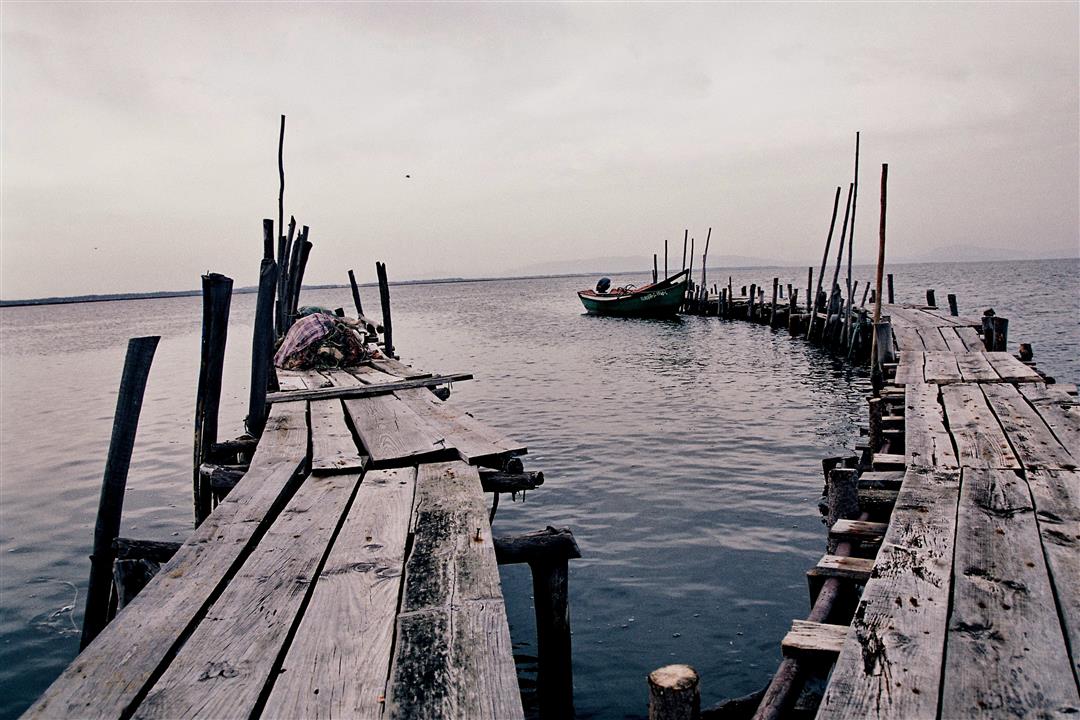 Carrasqueira