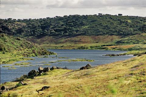 Monsaraz