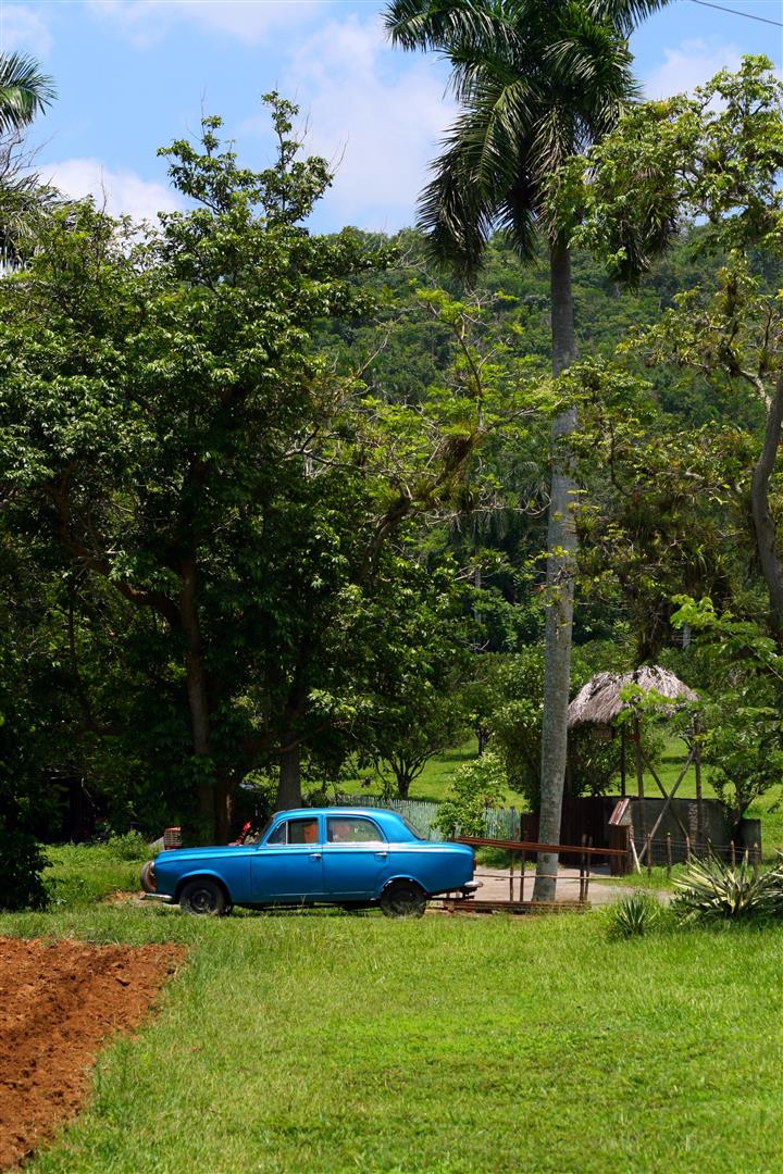 Pinar del Rio
