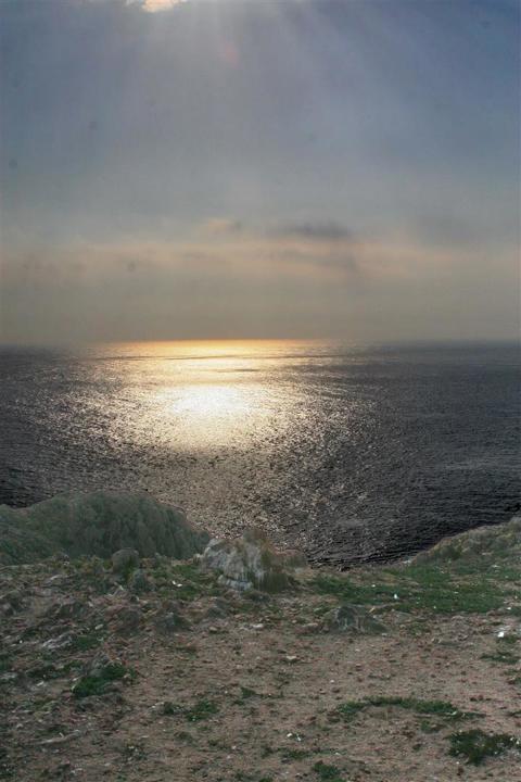 Berlengas
