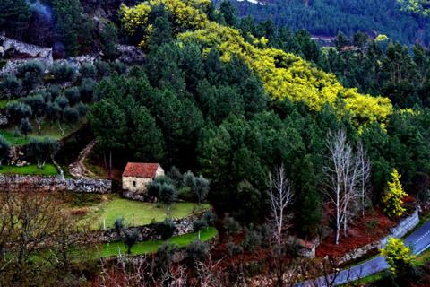 Aldeia das Dez