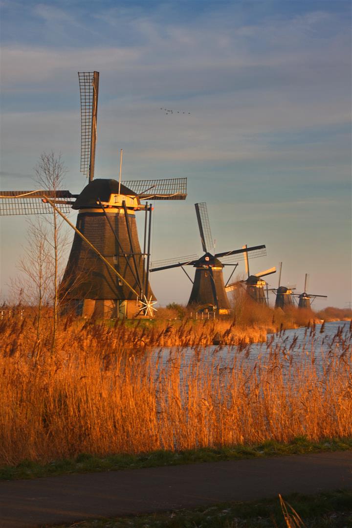 Kinderdijk