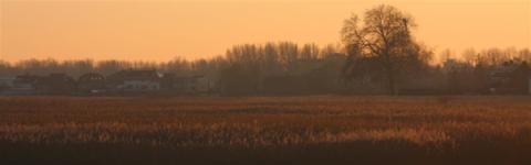 Kinderdijk