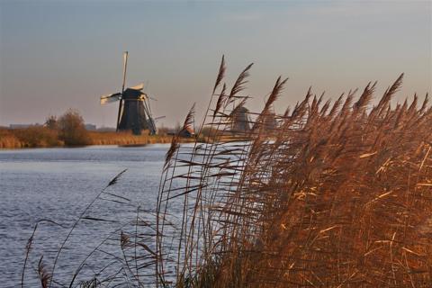Kinderdijk