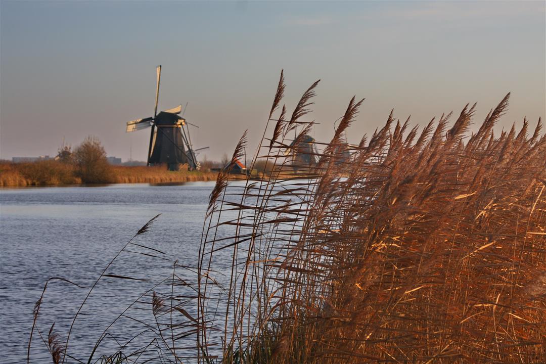 Kinderdijk