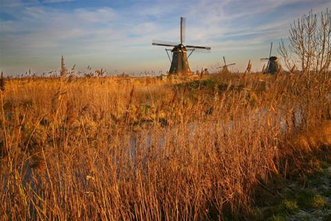 Kinderdijk