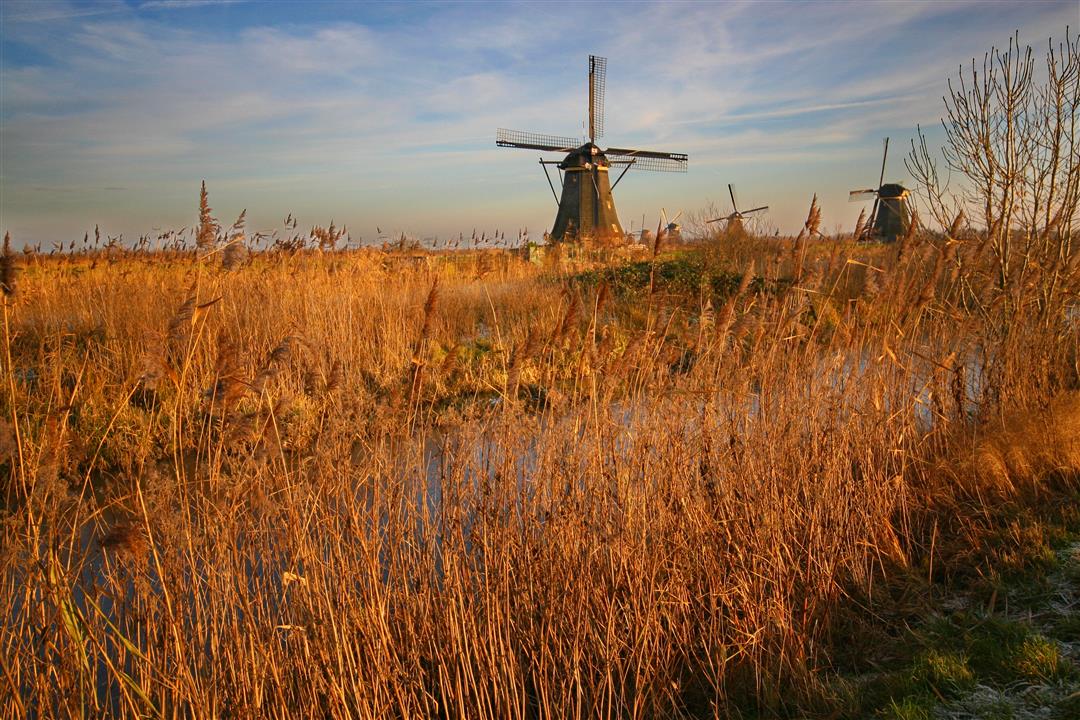 Kinderdijk