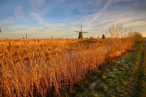 Kinderdijk