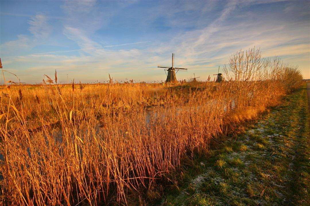 Kinderdijk