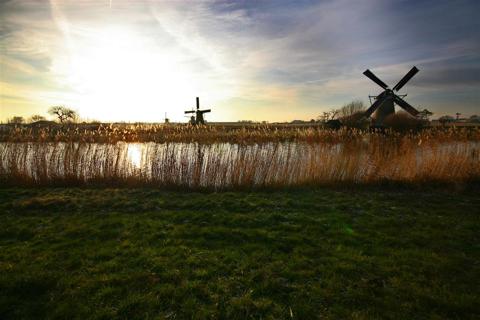 Kinderdijk