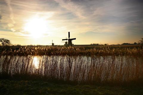 Kinderdijk