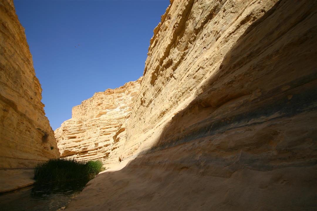 Ein Avdat
