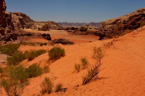 Wadi Rum