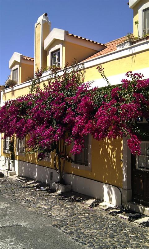 Lisboa