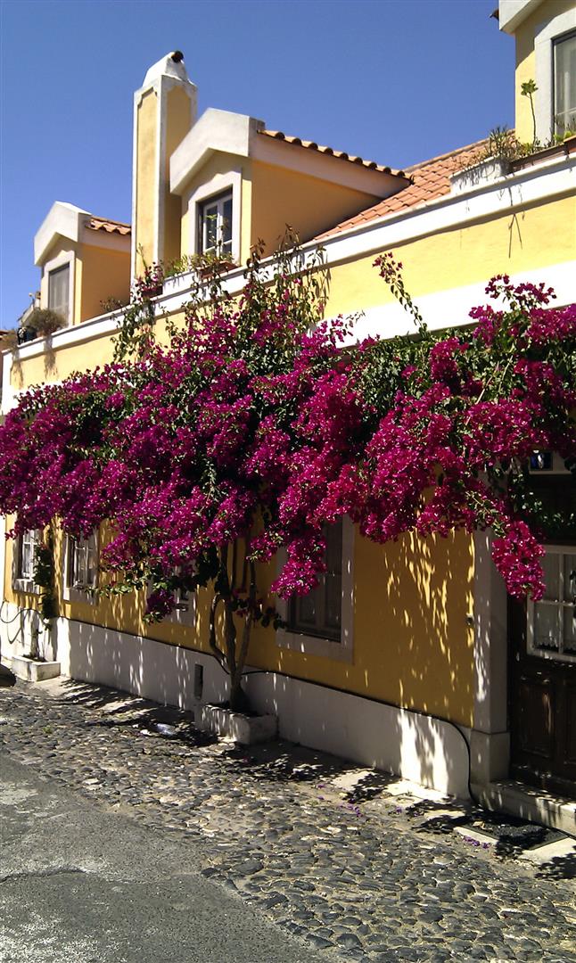 Lisboa