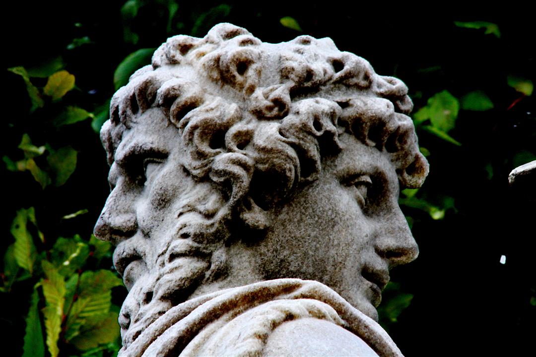 Viena