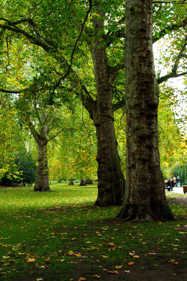 Londres