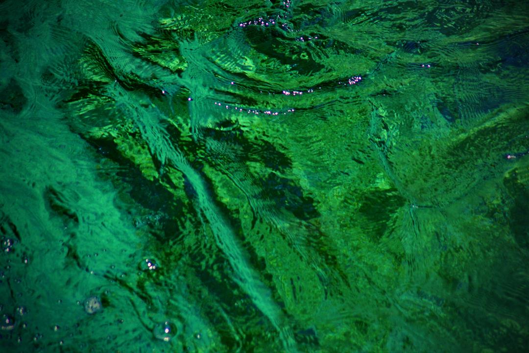 Vintgar Gorge
