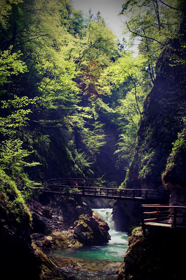 Vintgar Gorge