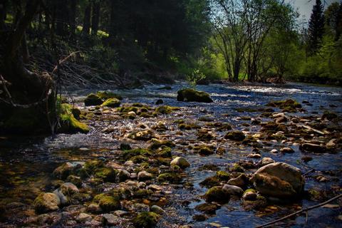 Vintgar Gorge