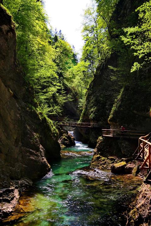 Vintgar Gorge