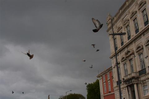 Lisboa