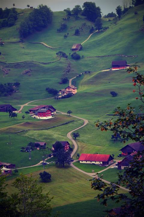 Lucerna