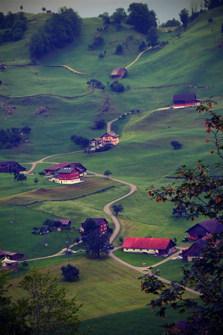 Lucerna